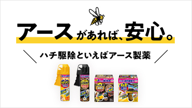 When it comes to bee extermination, it's Earth Corporation. "Official website for bee extermination products"