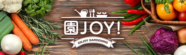 園JOY！ ガーデニングライフのヒントや園芸の楽しみ方を発信するWEBマガジン