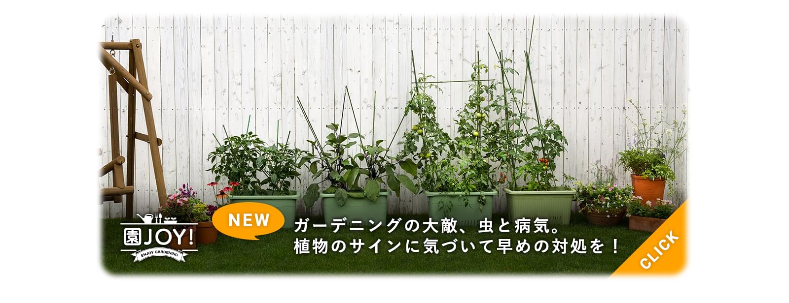 ガーデニングの大敵、虫と病気。植物のサインに気づいて早めの対処を！