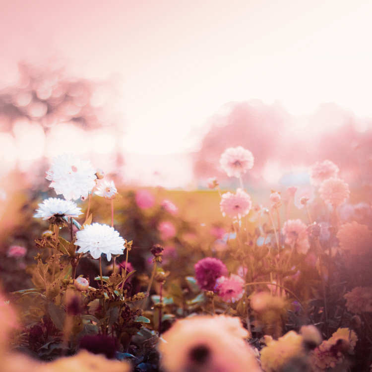 幸せに包まれる時間