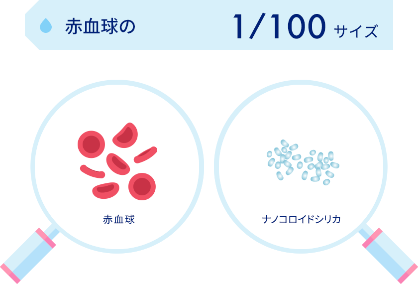 赤血球の1/100サイズ