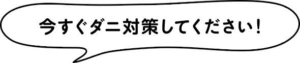 今すぐダニ対策してください！