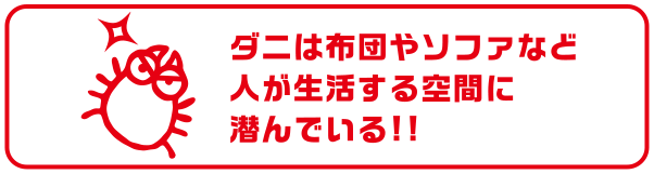 ダニは布団やソファなど人が生活する空間に潜んでいる!!