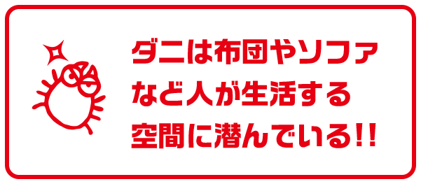 ダニは布団やソファなど人が生活する空間に潜んでいる!!