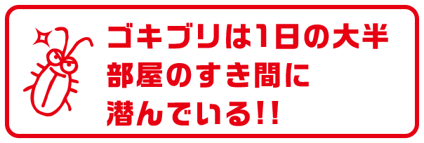 ゴキブリは1日の大半部屋のすき間に潜んでいる!!