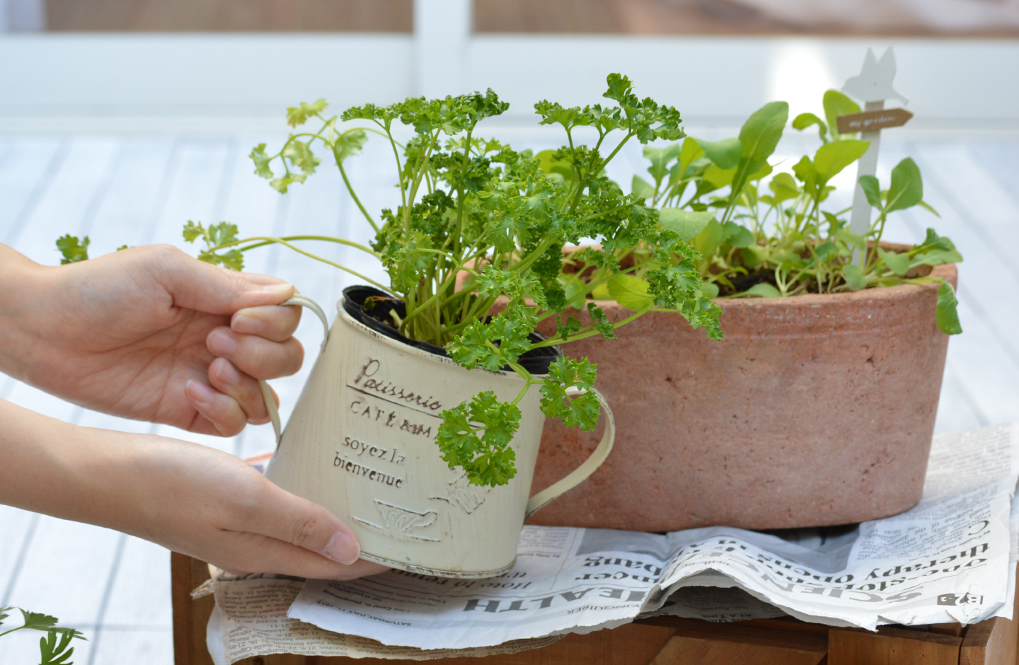 ガーデニングの大敵、虫と病気。植物のサインに気づいて早めの対処を！｜園JOY！ WEBマガジン｜アースガーデン ～園芸用品～｜アース製薬株式会社