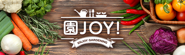 園JOY！ ガーデニングライフのヒントや園芸の楽しみ方を発信するWEBマガジン 野菜・花・果樹 育て方