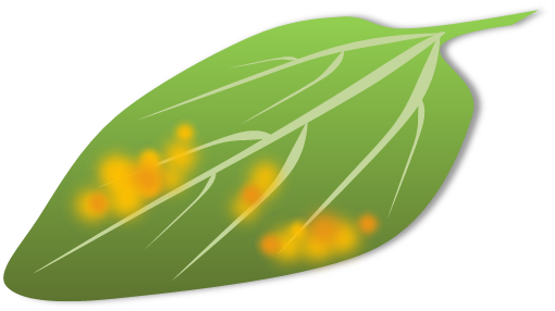 クレマチス 花の育て方 野菜 花の育て方 アースガーデン 園芸用品 アース製薬株式会社