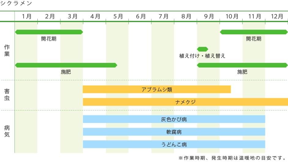 栽培スケジュール