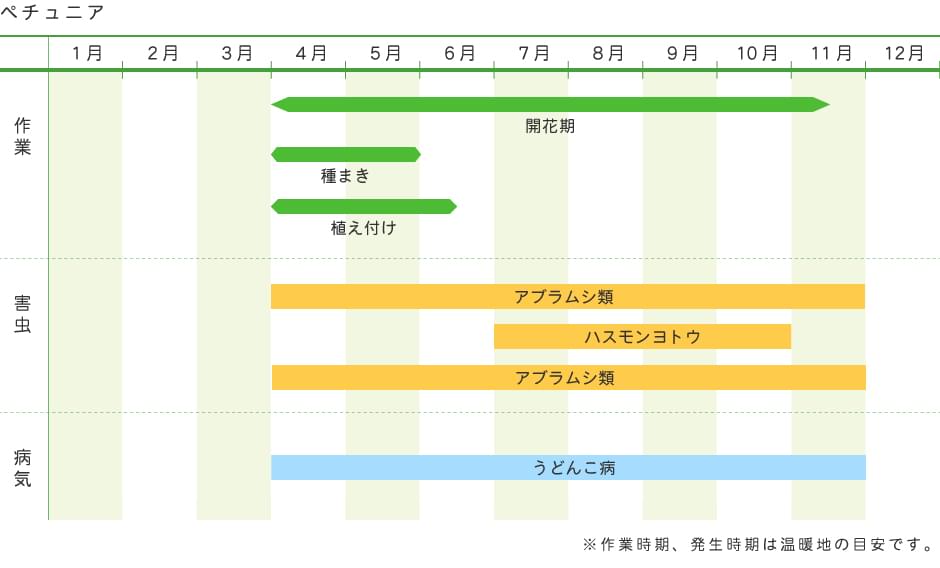 ペチュニア 花の育て方 野菜 花の育て方 アースガーデン 園芸用品 アース製薬株式会社