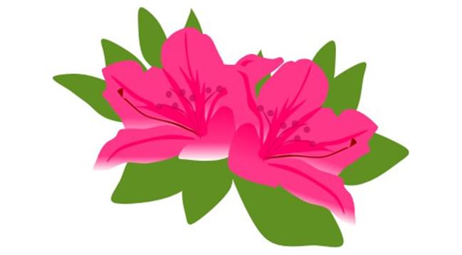 ツツジ_花