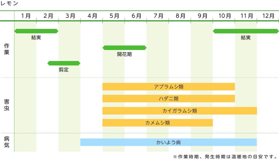 レモン 果樹の育て方 野菜 花の育て方 アースガーデン 園芸用品 アース製薬株式会社