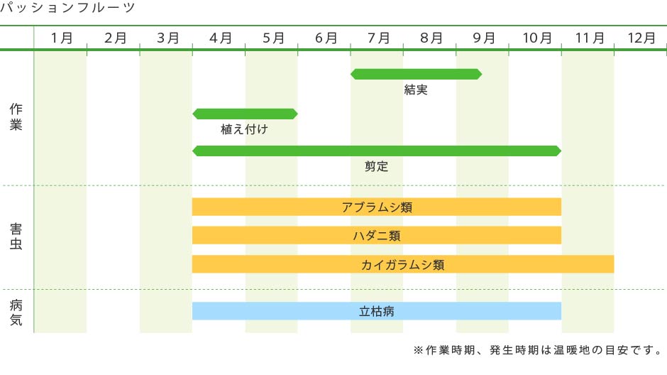 パッションフルーツ 果樹の育て方 野菜 花の育て方 アースガーデン 園芸用品 アース製薬株式会社