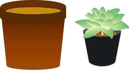 鉢に多肉植物（サボテン）用の土を3分の2程度いれます。