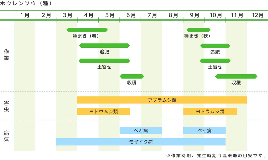 ホウレンソウ 種 野菜の育て方 野菜 花の育て方 アースガーデン 園芸用品 アース製薬株式会社