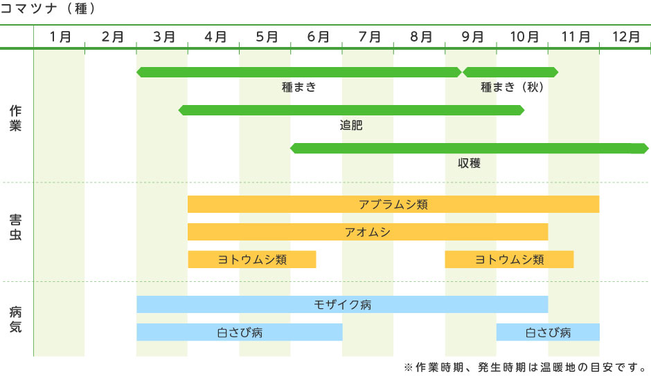 コマツナ 種 野菜の育て方 野菜 花の育て方 アースガーデン 園芸用品 アース製薬株式会社