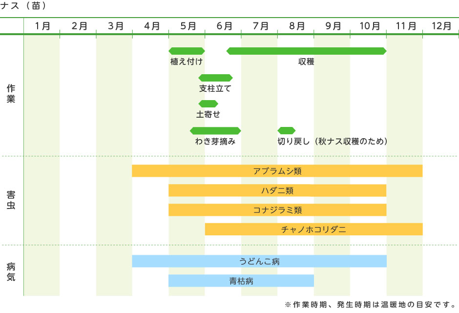 ナス 苗 野菜の育て方 野菜 花の育て方 アースガーデン 園芸用品 アース製薬株式会社