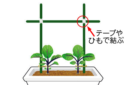 ナス 苗 野菜の育て方 野菜 花の育て方 アースガーデン 園芸用品 アース製薬株式会社