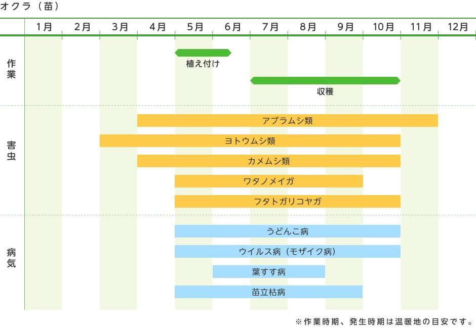 オクラ 苗 野菜の育て方 野菜 花の育て方 アースガーデン 園芸用品 アース製薬株式会社