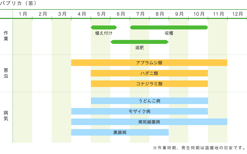 パプリカ 苗 野菜の育て方 野菜 花の育て方 アースガーデン 園芸用品 アース製薬株式会社