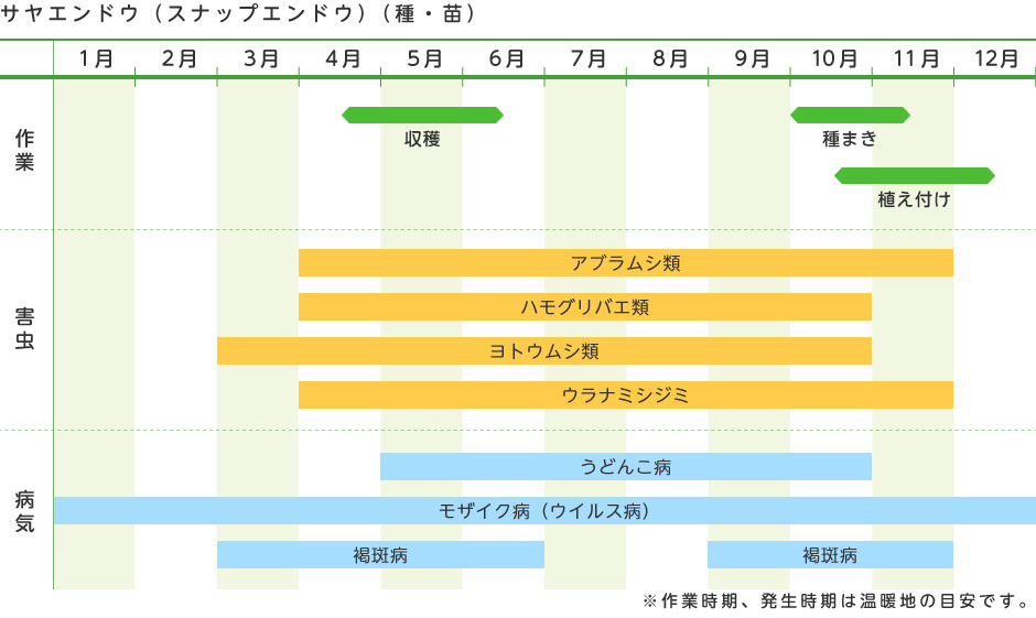 サヤエンドウ スナップエンドウ 種 苗 野菜の育て方 野菜 花の育て方 アースガーデン 園芸用品 アース製薬株式会社