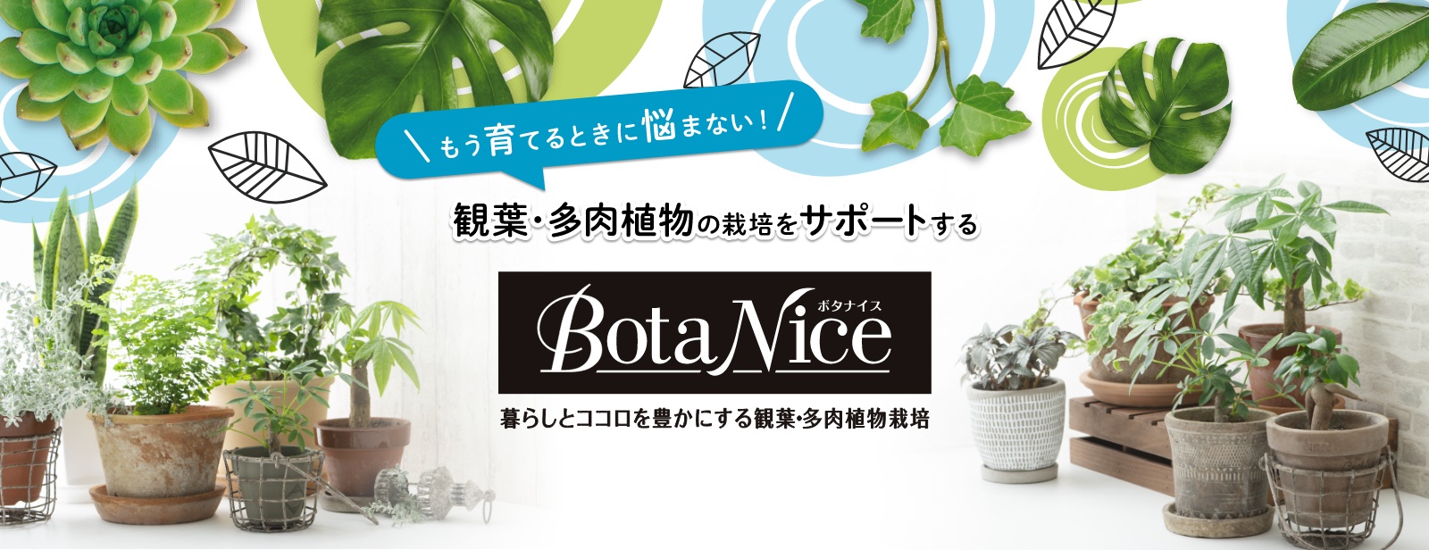 BotaNice(ボタナイス)観葉・多肉植物栽培なら