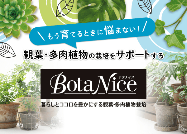 BotaNice(ボタナイス)観葉・多肉植物栽培なら