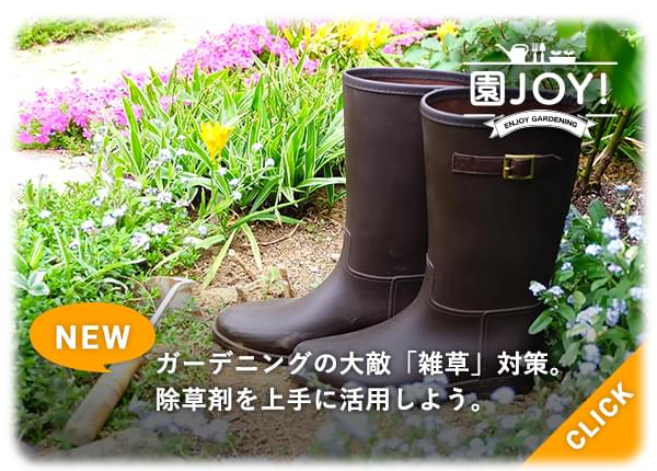 ガーデニングの大敵「雑草」対策。除草剤を上手に活用しよう。