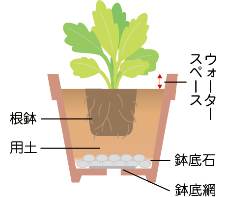 	鉢底石、鉢底網、用土、ウォータースペース、根鉢