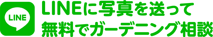 LINE ガーデニングのお悩み解決 ホットライン