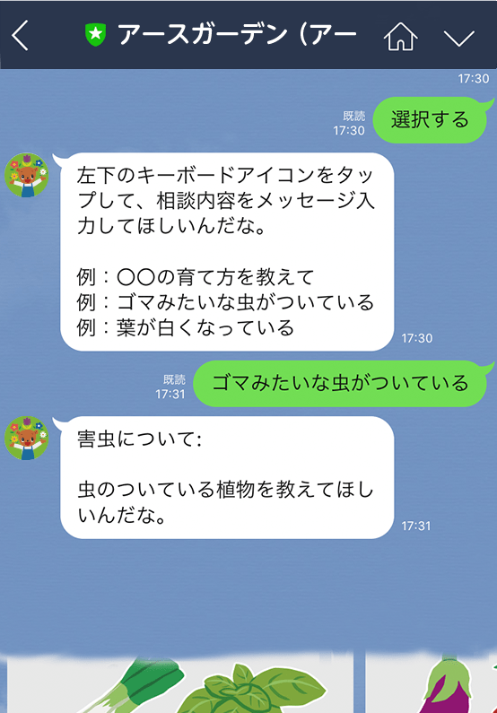 相談内容を入力する