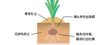 土寄せ