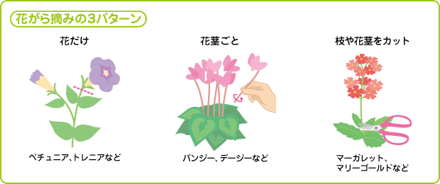 花がら摘み ガーデニングq A アースガーデン 園芸用品 アース製薬株式会社