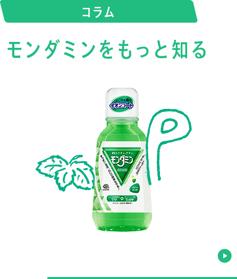 コラム モンダミンをもっと知る