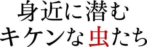 身近に潜むキケンな虫たち