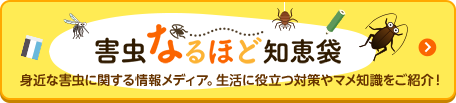 害虫なるほど知恵袋 身近な害虫に関する情報メディア。生活に役立つ対策やマメ知識をご紹介！