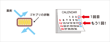 駆除したら次は2~3週間後に再度使用