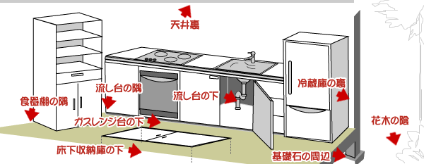設置のポイント!