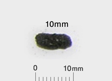 これって何のフン アース害虫駆除なんでも事典