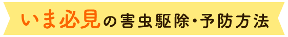 いま必見の害虫駆除・予防方法