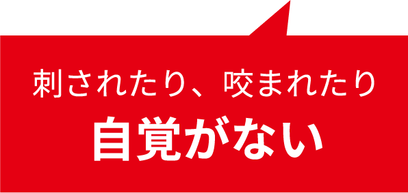 刺されたり、咬まれたり自覚がない