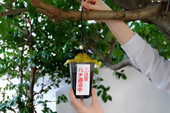 吊るすだけのハチ用捕獲器