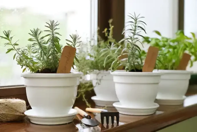 植木鉢