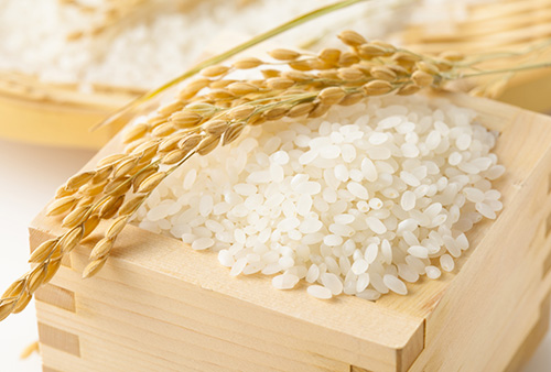 お米にわく虫、コクゾウムシはどこからくる？発生の原因と対処法。