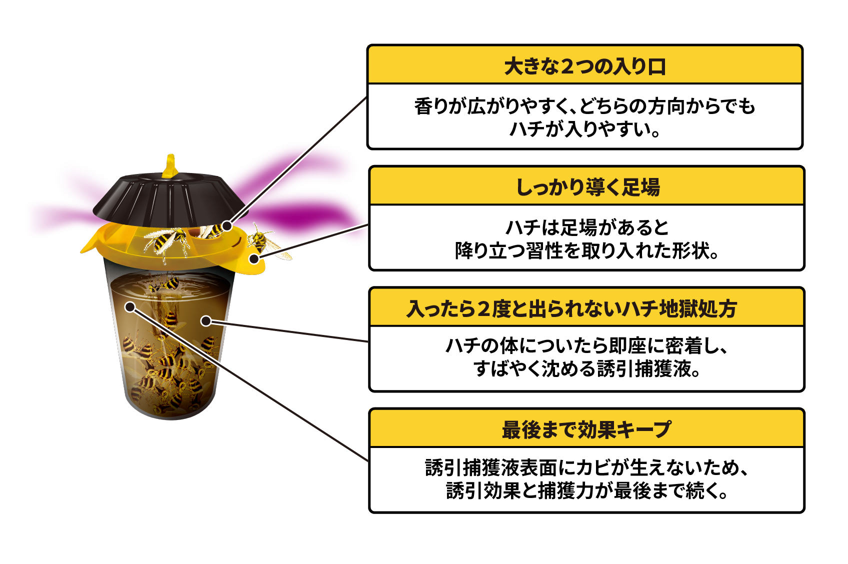 ハチも驚く劇的捕獲力