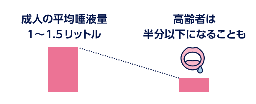 成人の平均唾液量は1〜1.5リットル。高齢者は半分以下になることも