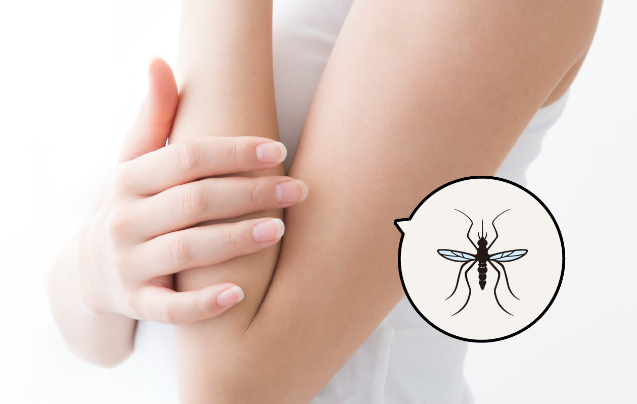 蚊の侵入を予防