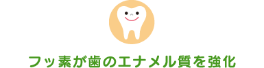 フッ素が歯のエナメル質を強化