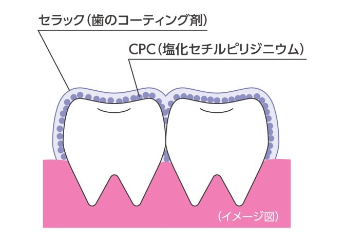 酸やむし歯に負けない強い歯に