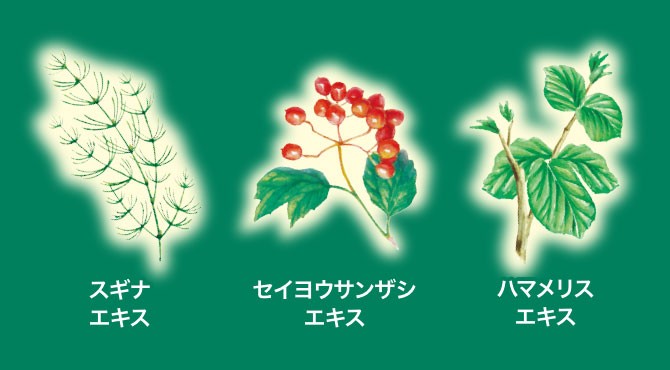 歯ぐきをいたわる3種の植物エキスを配合（湿潤剤）